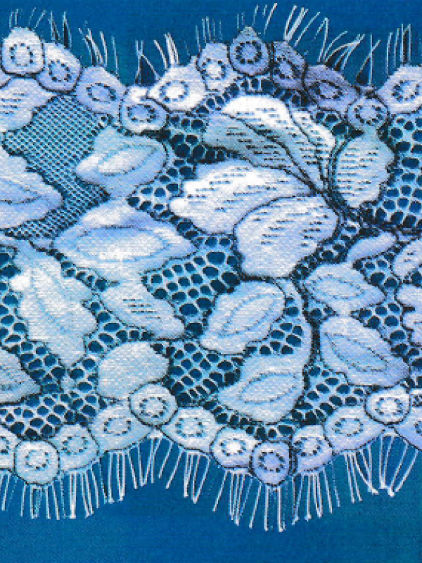 Sakallı Nylon Çift Renkli Dantel